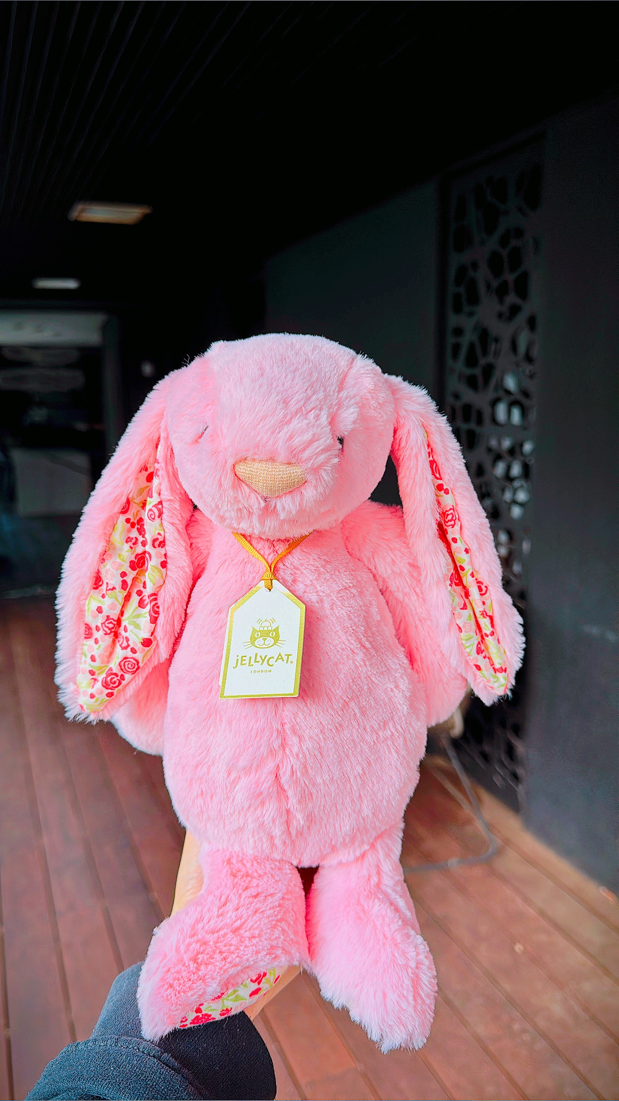 Coco ⋆˚𝜗𝜚˚⋆