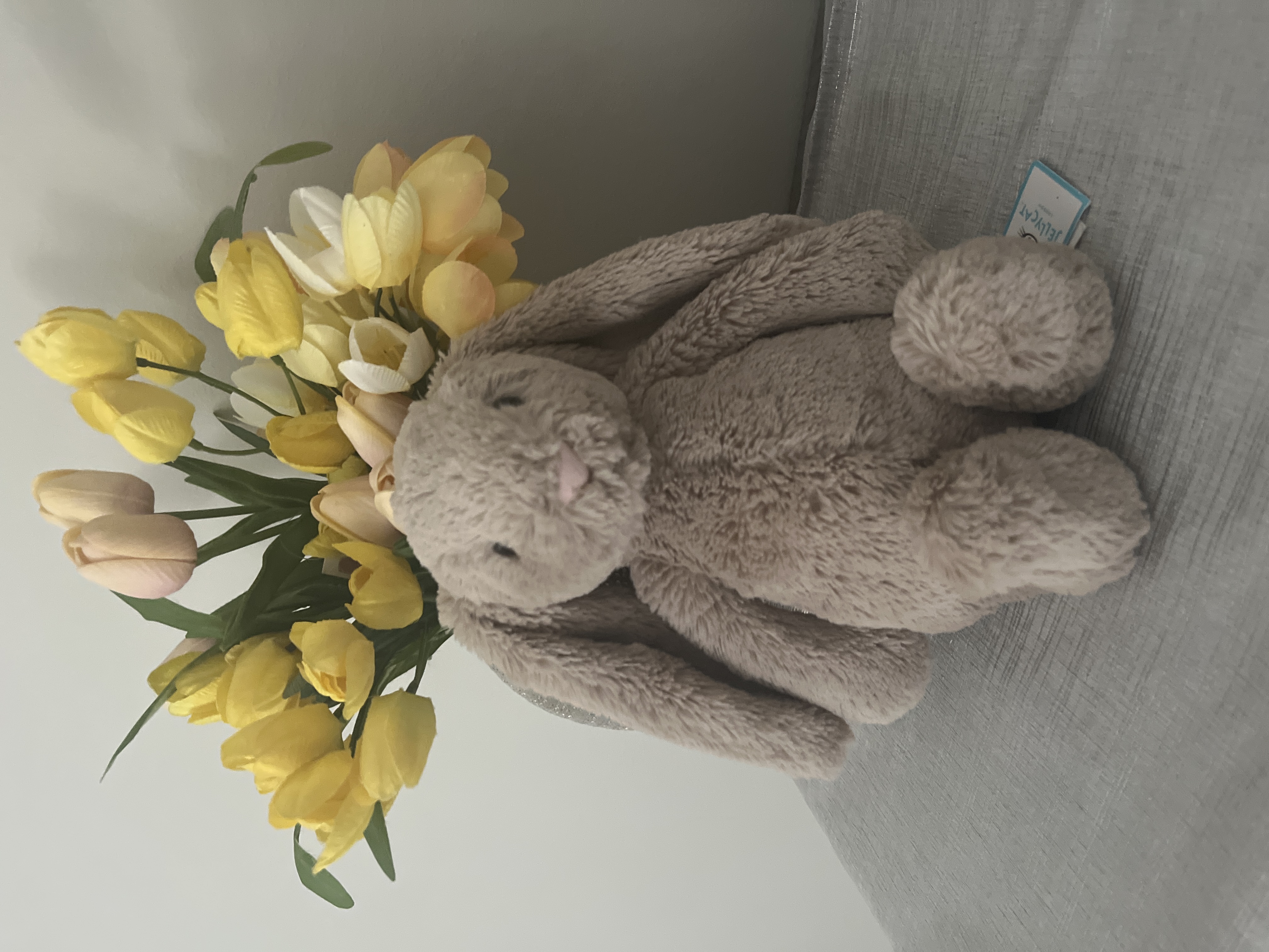 Jellycat_lover💕