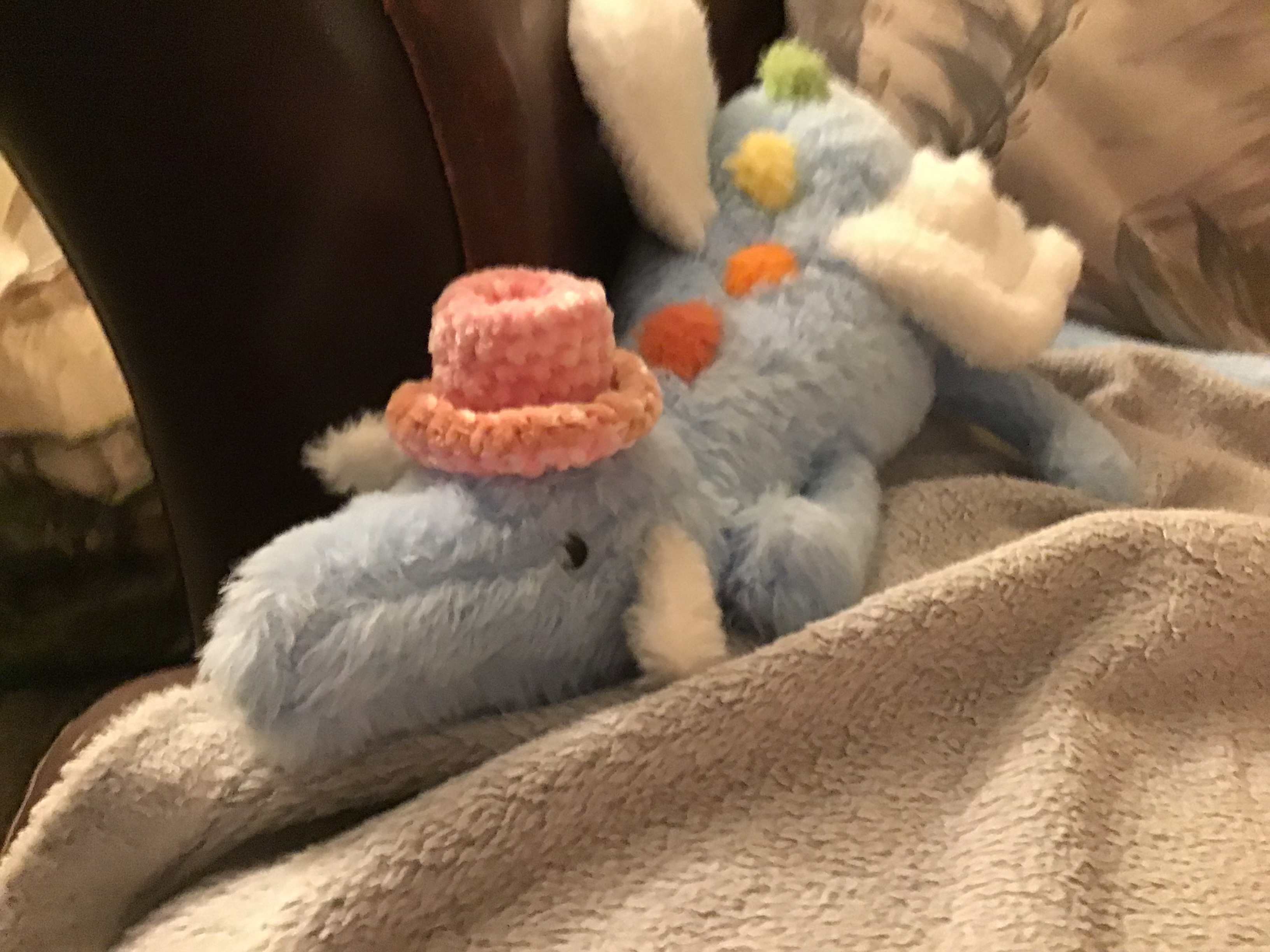 Chloe’s jellies