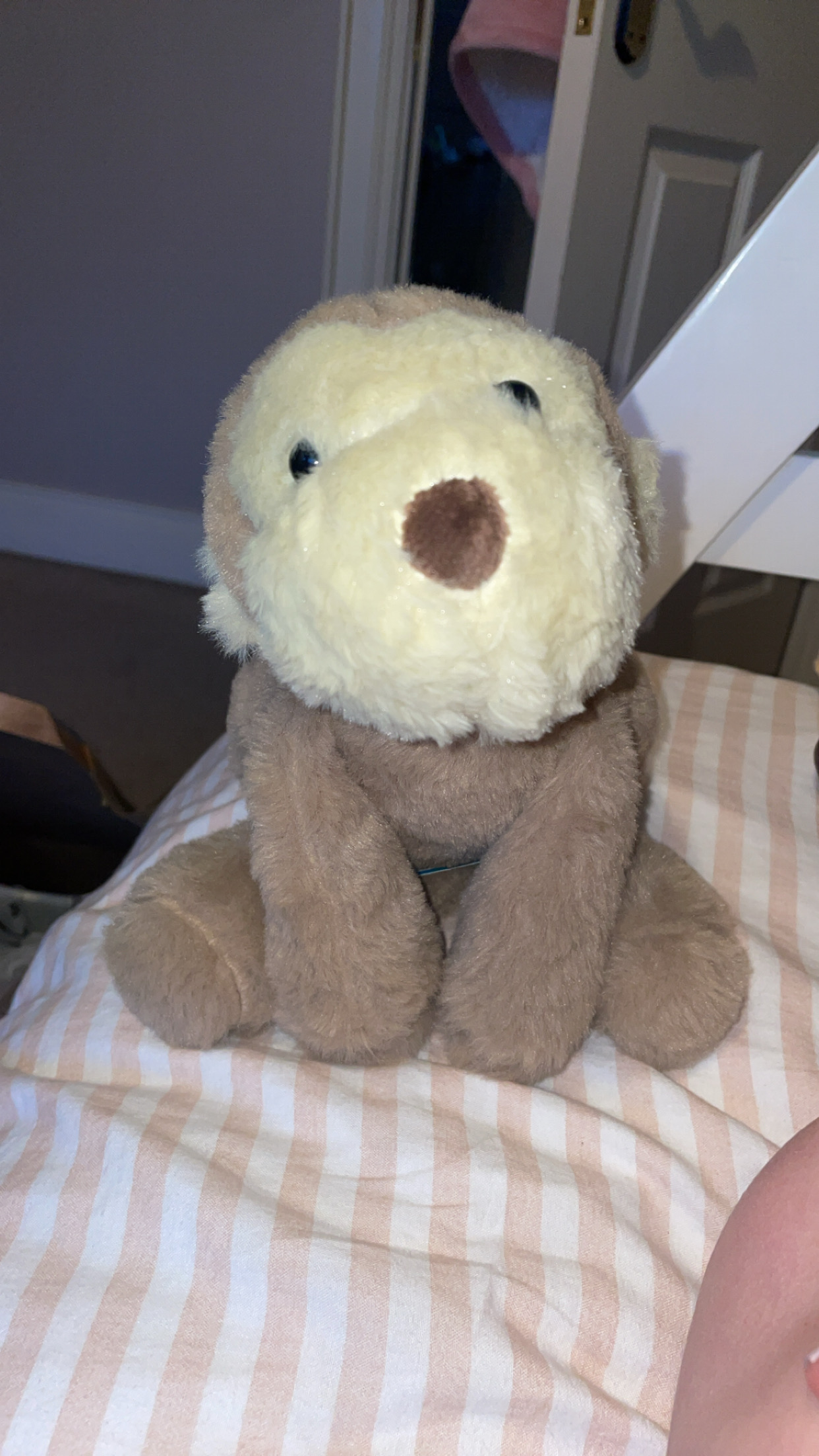 Jellycatlover_67