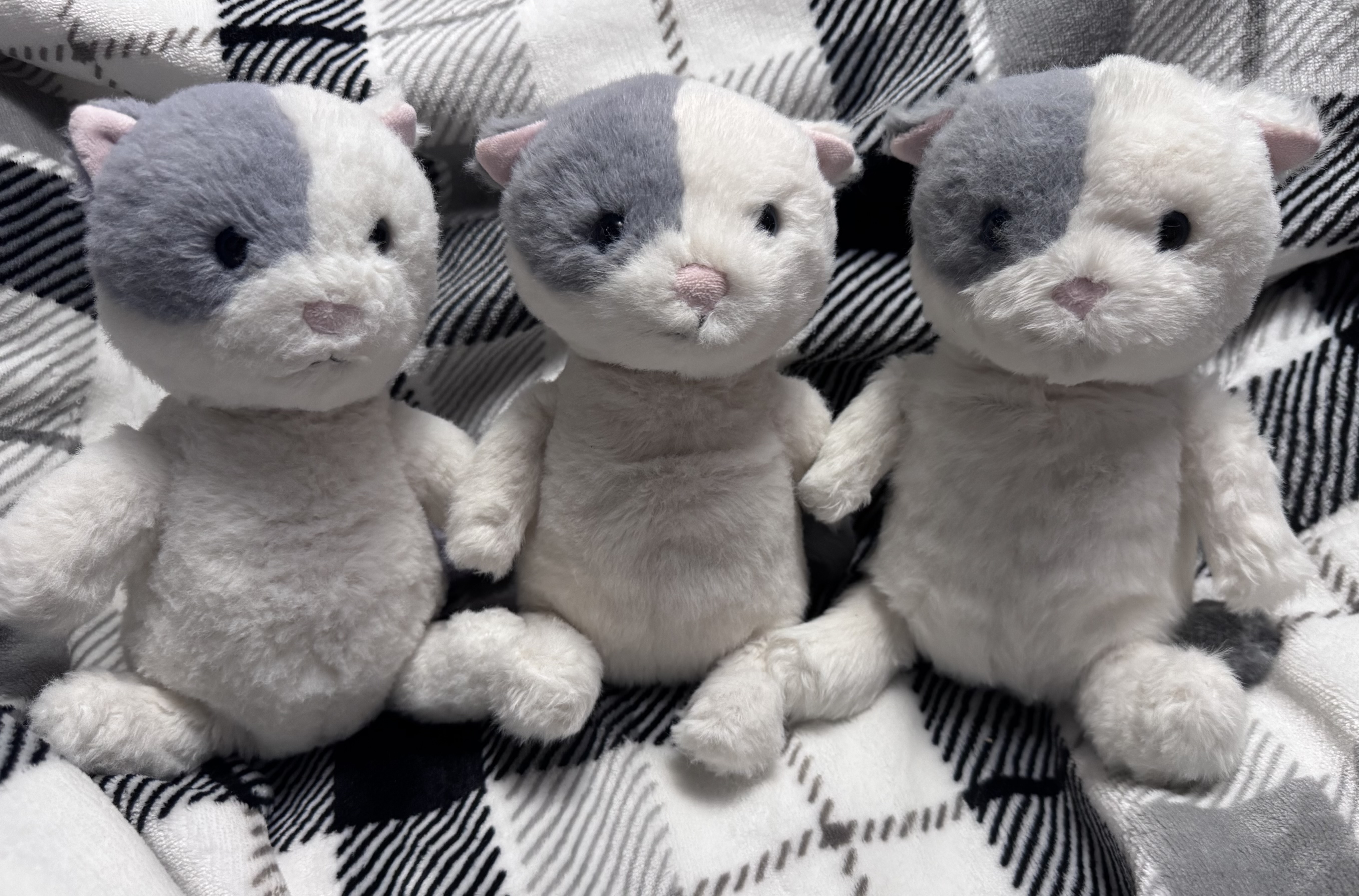 MiauuDai 