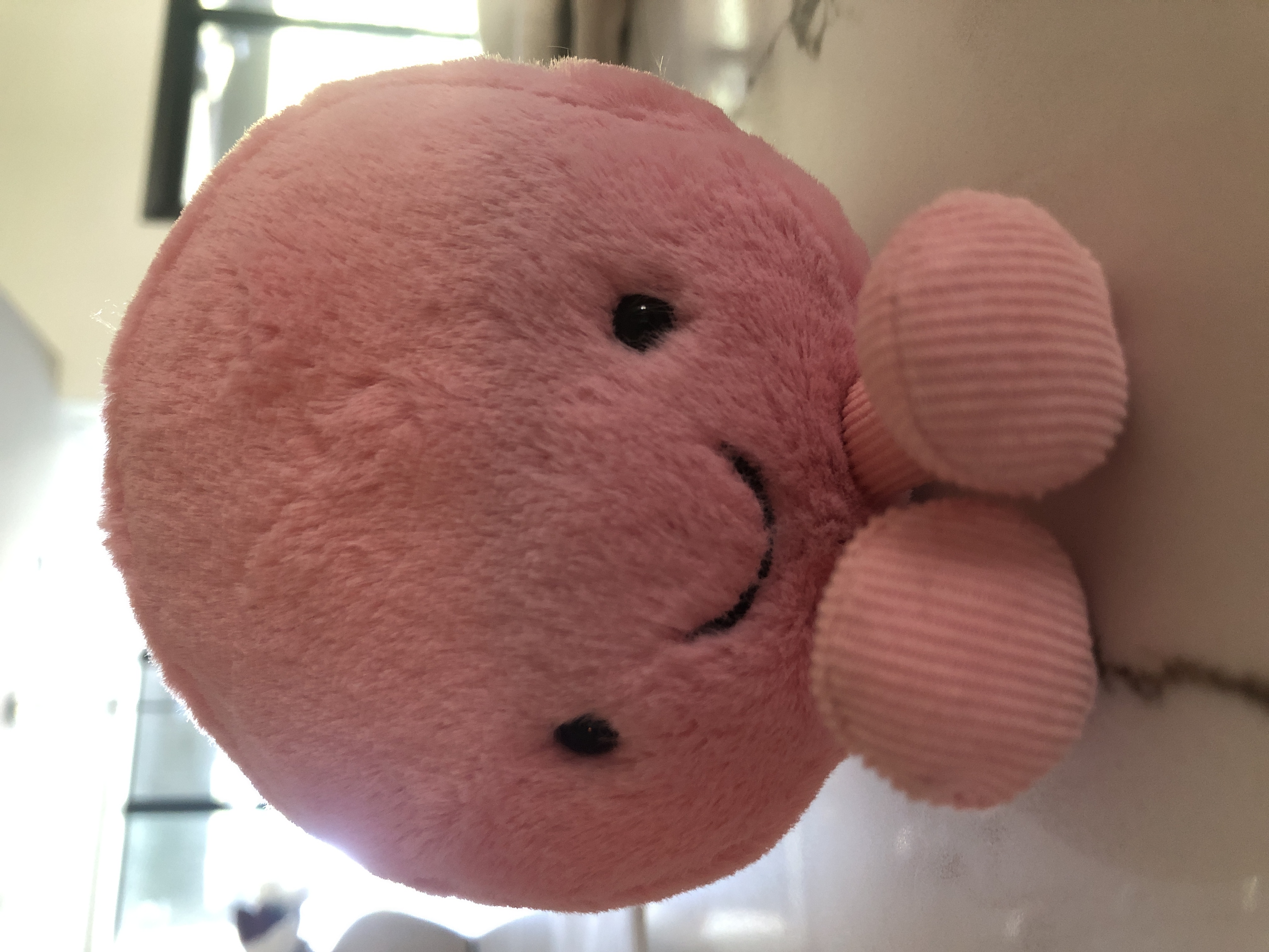 Jellycatter